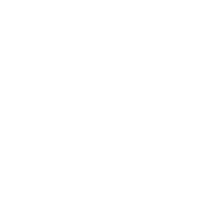 icon-linkedin-white